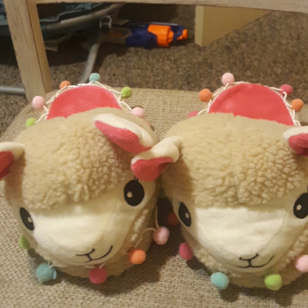 Slippers